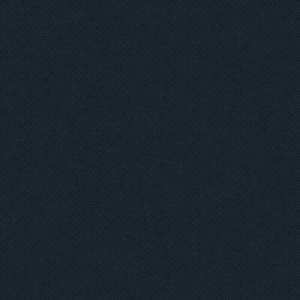 noisy_net2